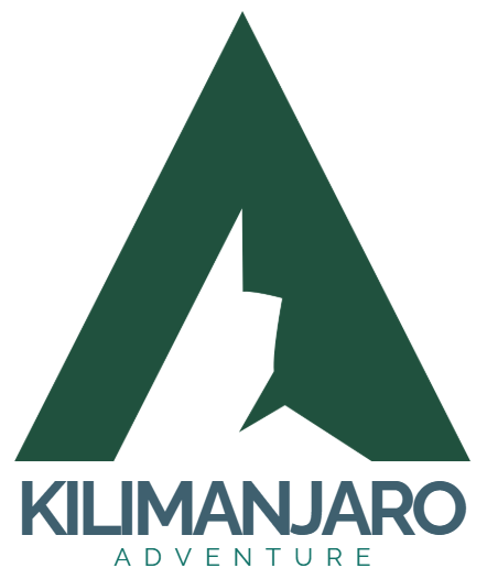 Best Kilimanjaro Tour Operators